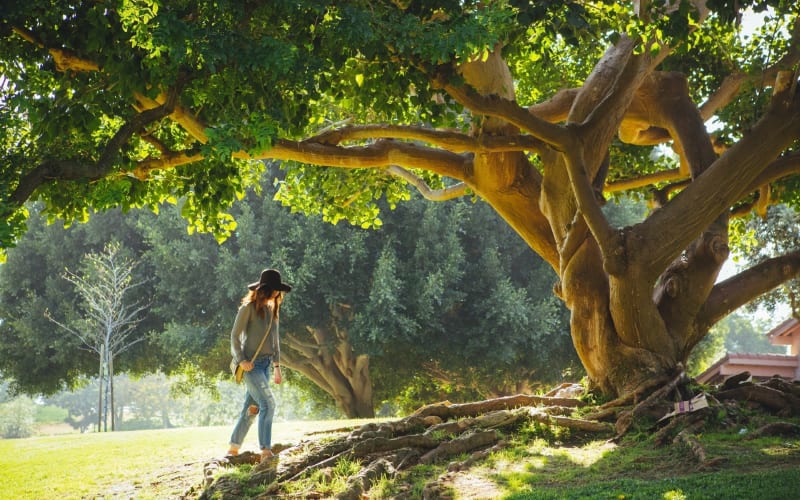 Woman walking under a green tree